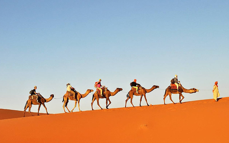 2 Nights Camel Trekking in Merzouga